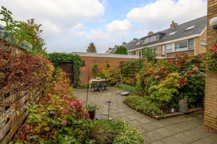 Photo 41 of Bogerd 13