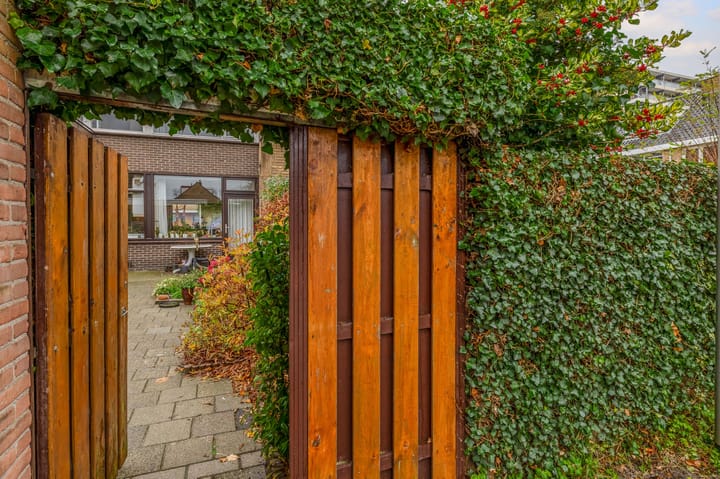 Photo 45 of Bogerd 13