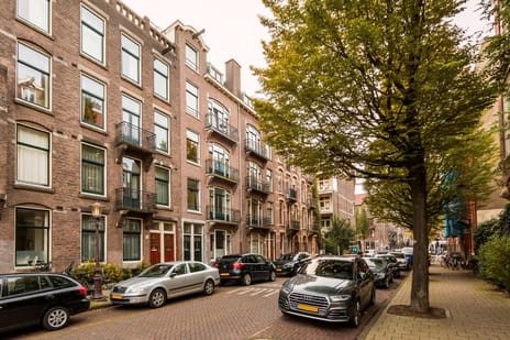 Nicolaas Maesstraat thumbnail
