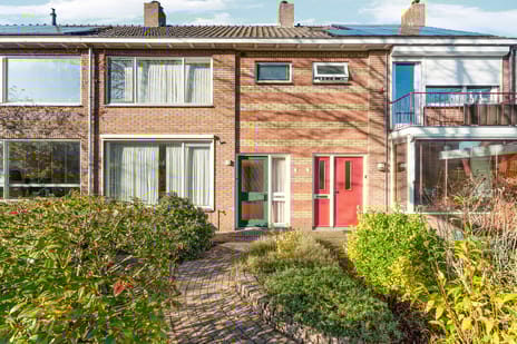 undefined main image