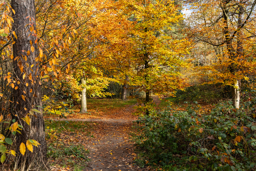 Foto 37 van Kamerlingh Onnesstraat 53