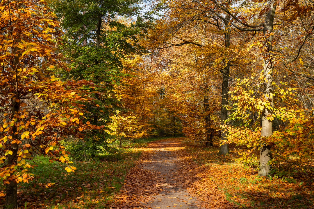 Foto 38 van Kamerlingh Onnesstraat 53