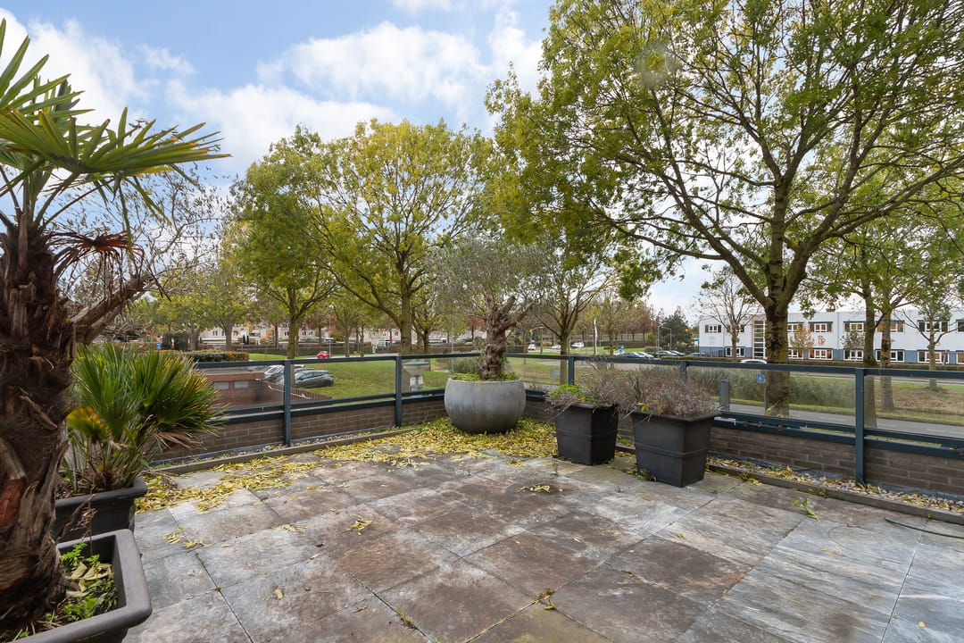 Foto 23 van Branco 162