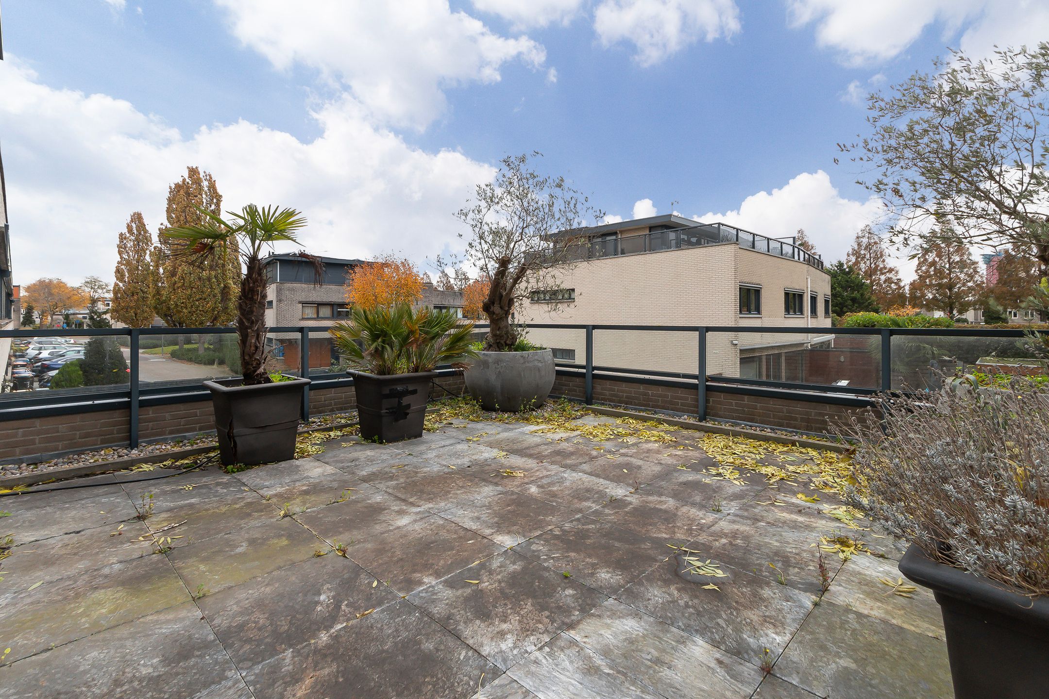 Foto 24 van Branco 162