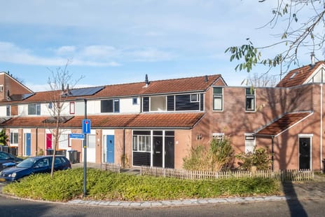 undefined main image