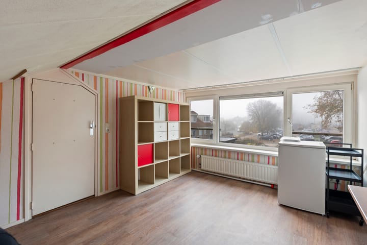 Photo 25 of Rhijnvis Feithlaan 94