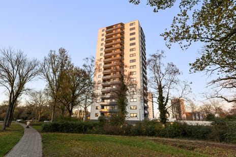 Korianderstraat thumbnail