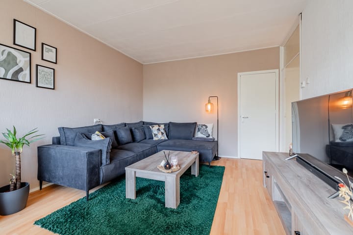 Photo 6 of Julianaplantsoen 257