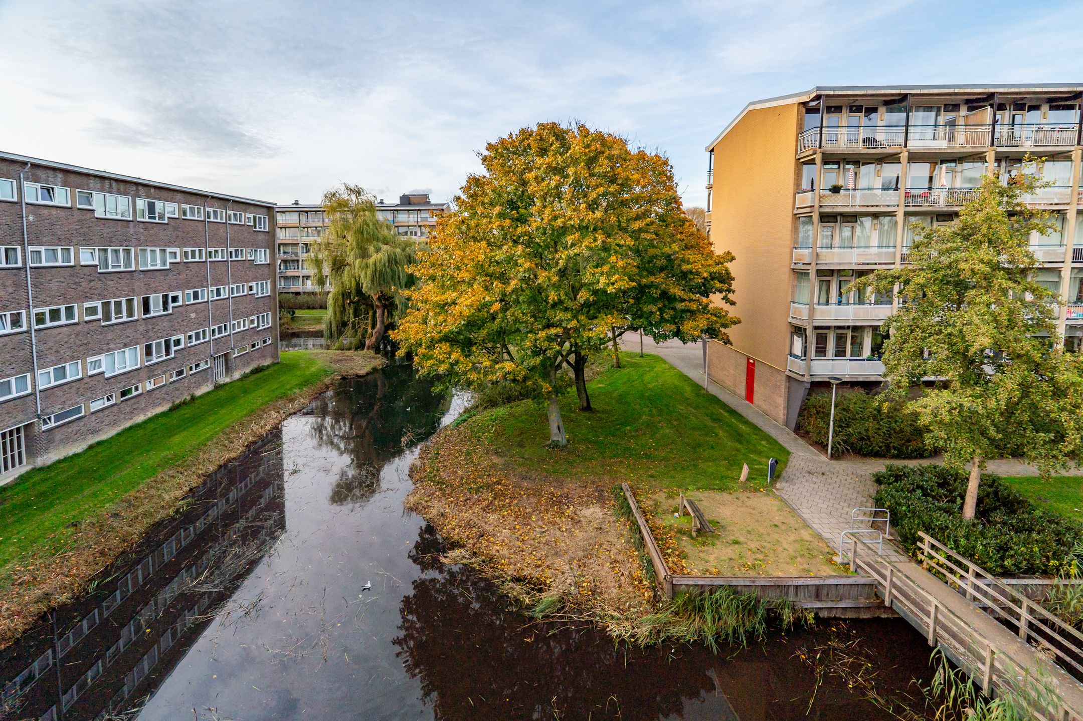 Foto 39 van Julianaplantsoen 257