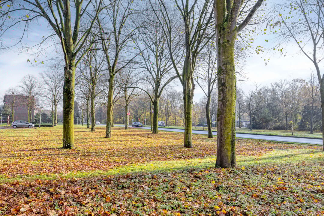 Photo 28 of Julianalaan 94