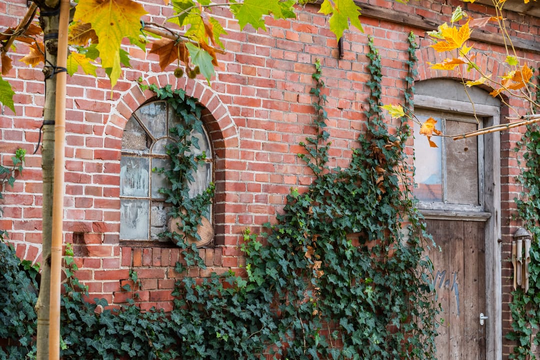 Photo 53 of Vredensestraat 3