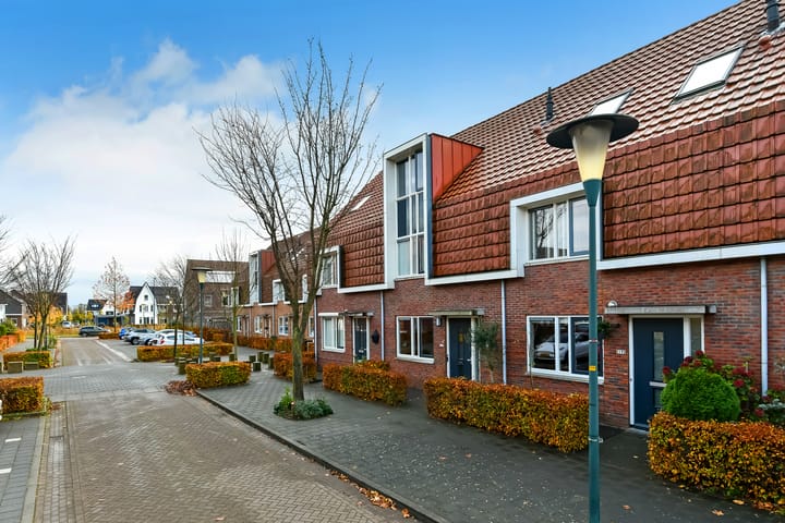 Photo 2 of Pijlkruid 12