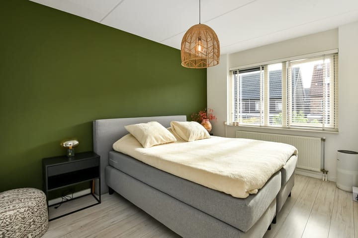 Photo 20 of Pijlkruid 12