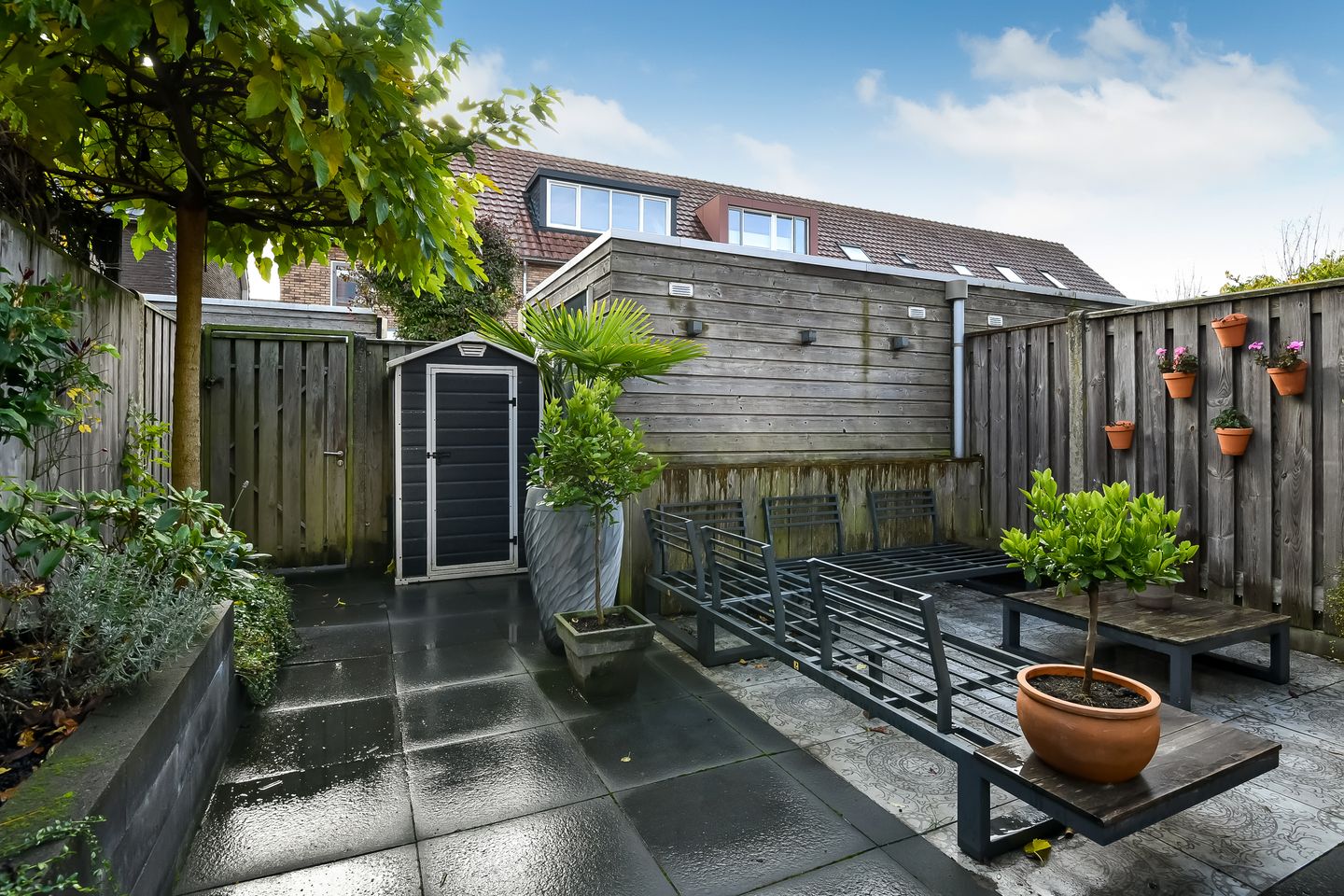 Foto 40 van Pijlkruid 12