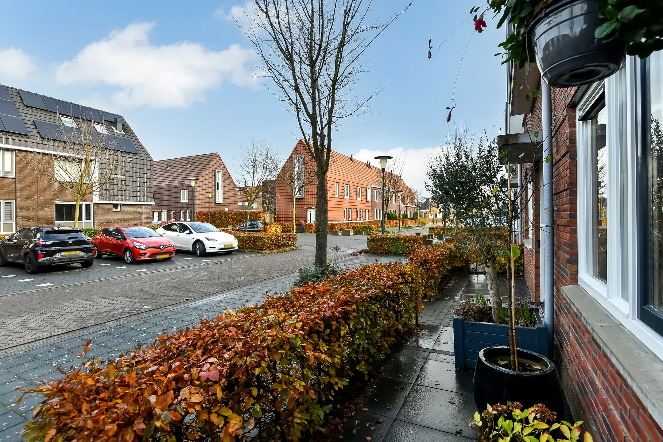 Foto 45 van Pijlkruid 12