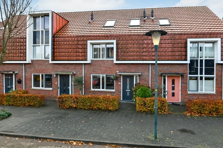 Photo 48 of Pijlkruid 12