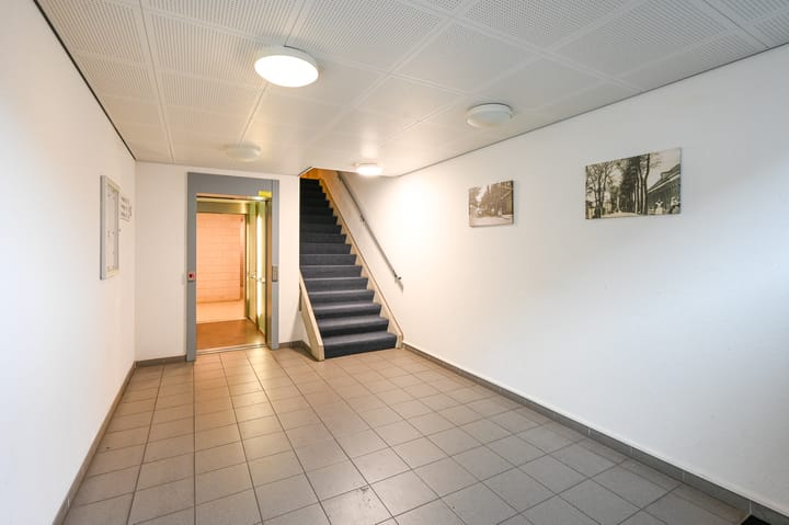 Photo 6 of Fenacoliuslaan 118