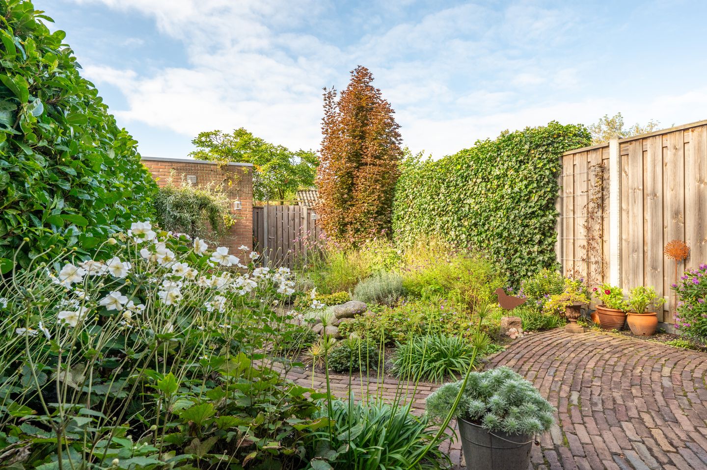 Foto 25 van Wasbeer 27