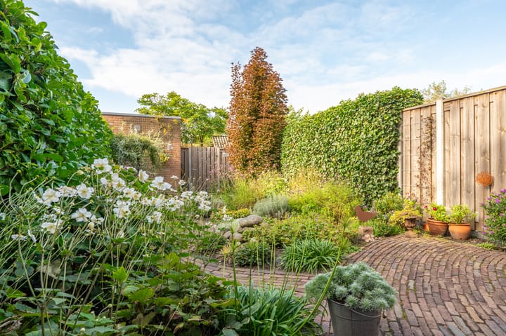 Foto 25 van Wasbeer 27