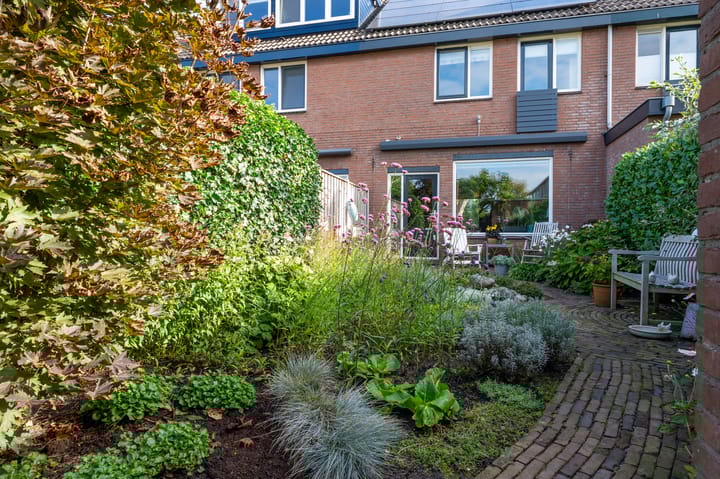 Foto 27 van Wasbeer 27