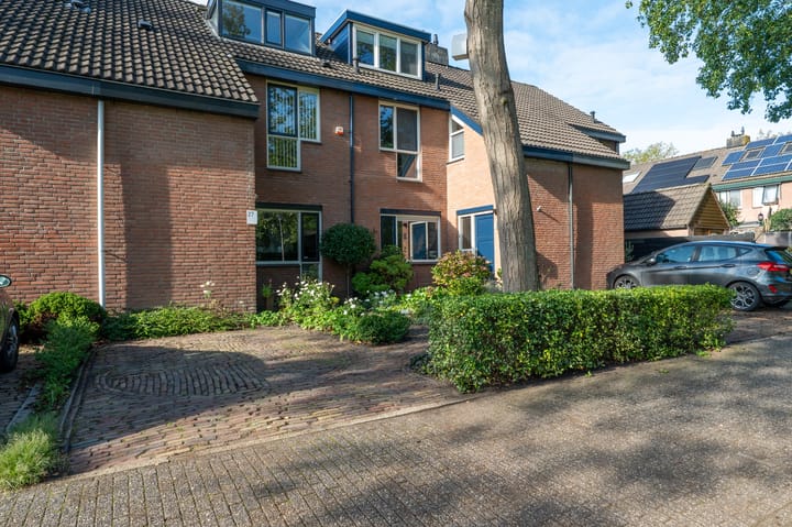 Foto 29 van Wasbeer 27