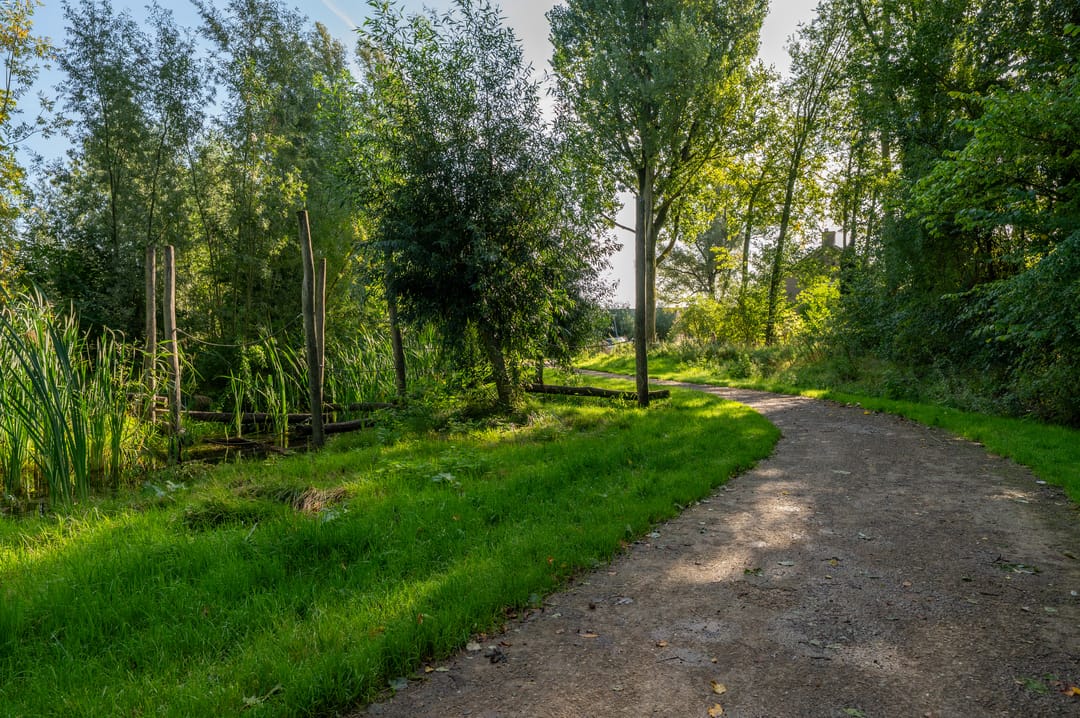 Foto 32 van Wasbeer 27