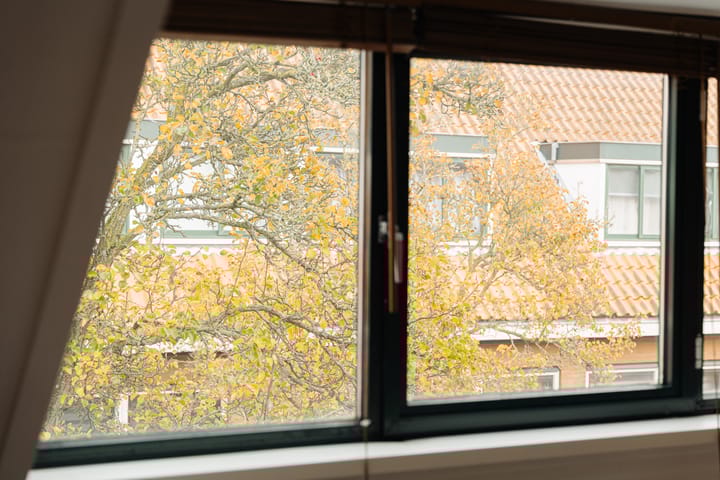 Foto 20 van Aurikelstraat 77