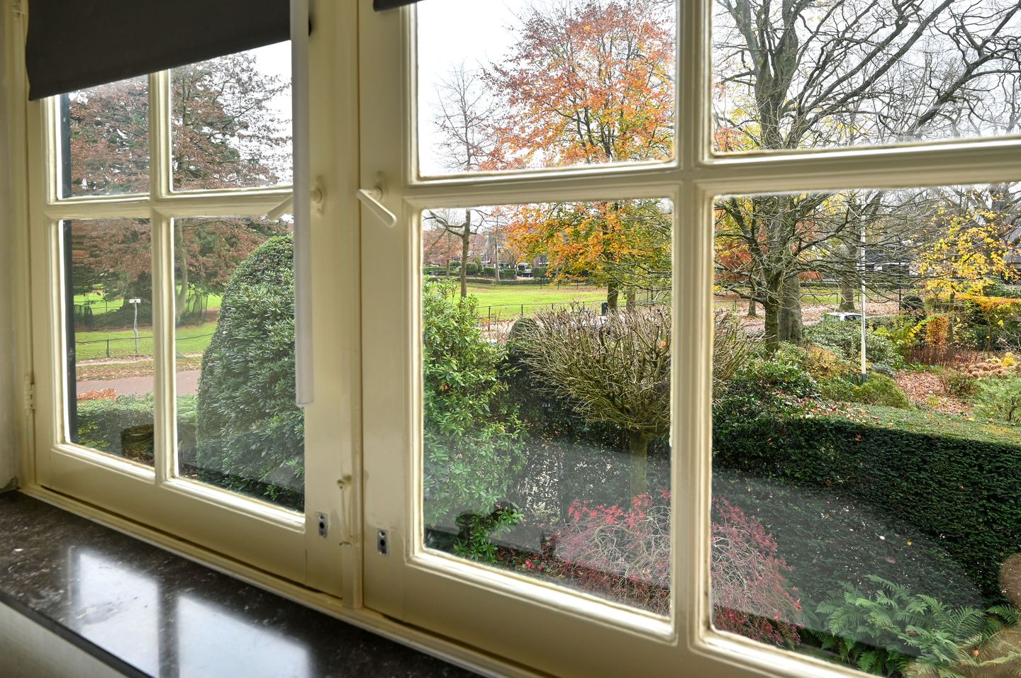 Foto 25 van Driftlaan 1