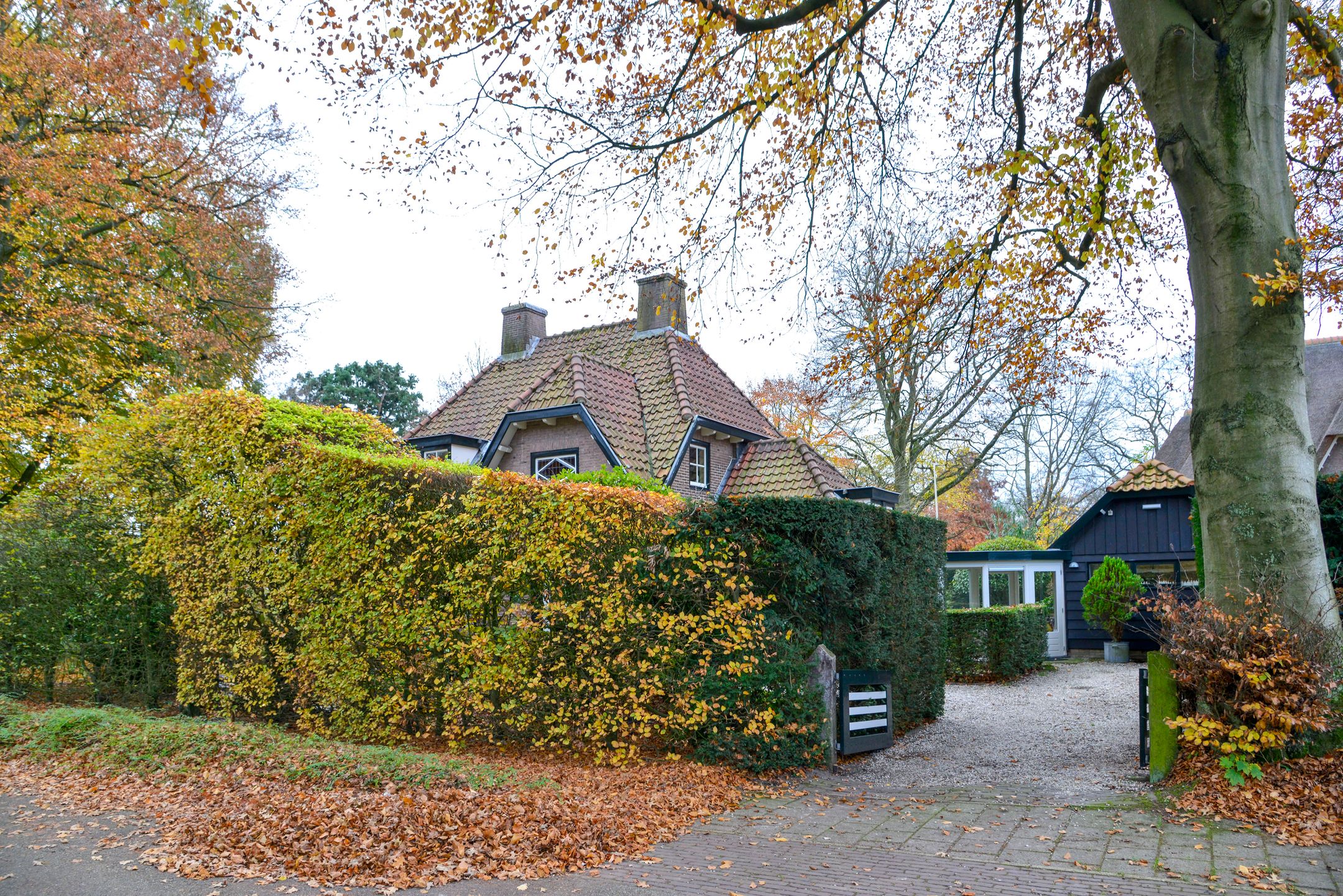 Foto 30 van Driftlaan 1