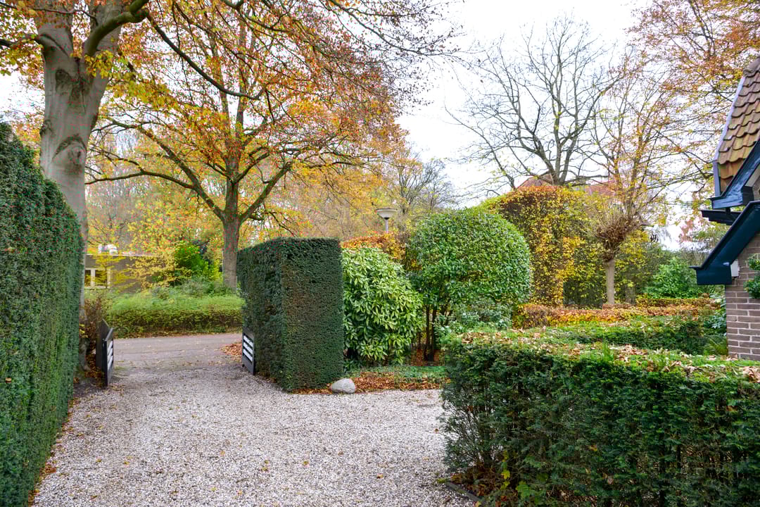 Foto 31 van Driftlaan 1