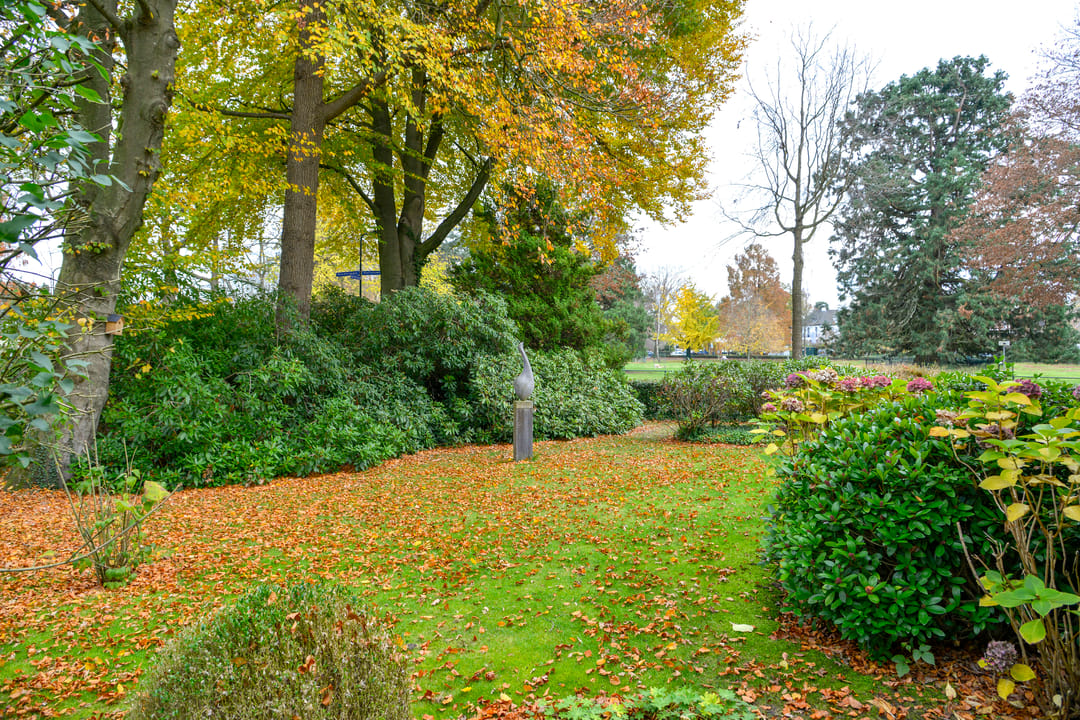 Foto 32 van Driftlaan 1