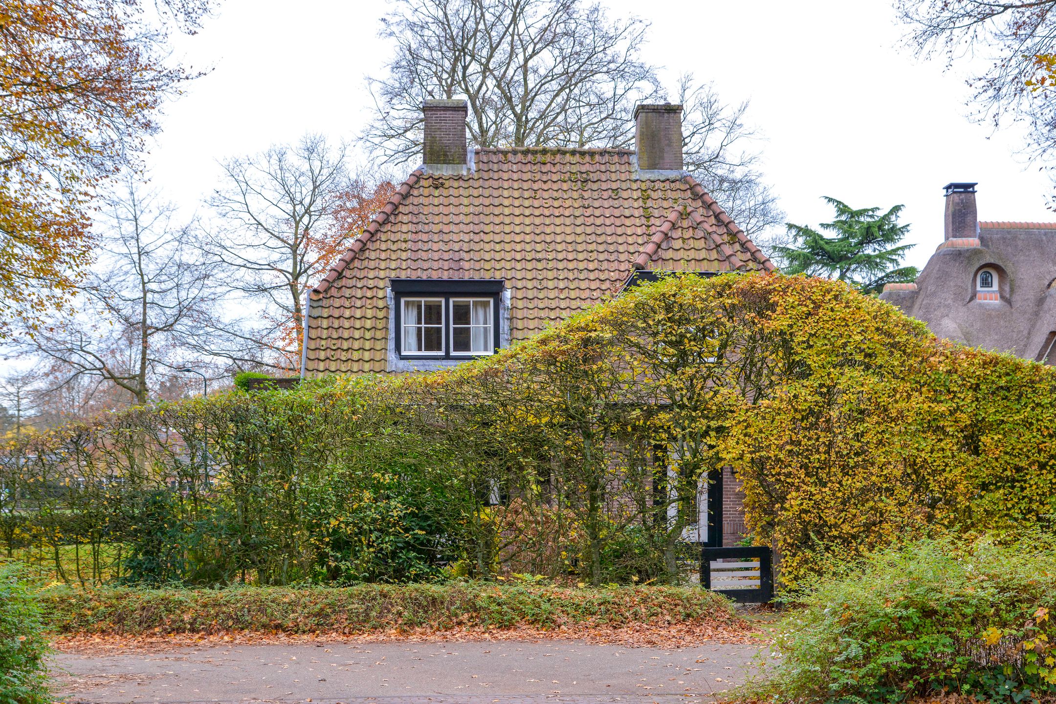 Foto 36 van Driftlaan 1