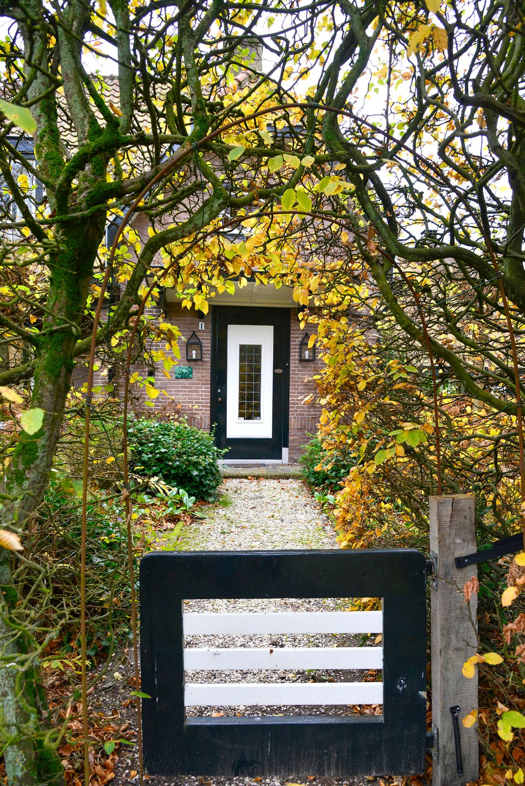 Foto 37 van Driftlaan 1