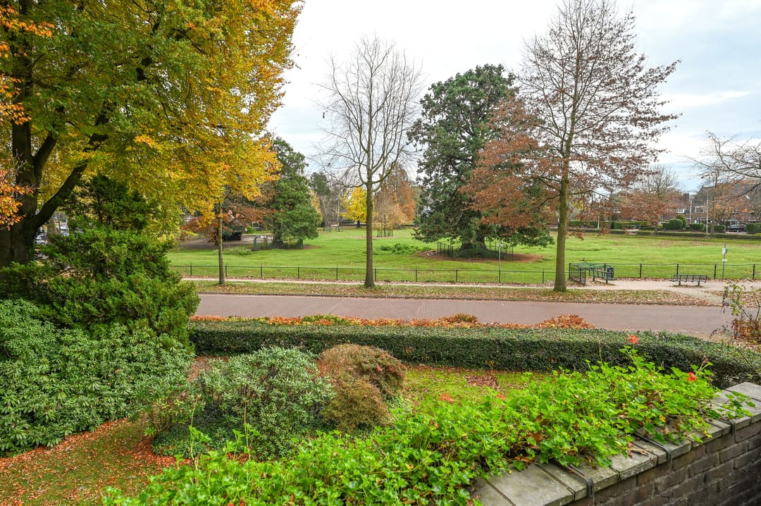 Foto 38 van Driftlaan 1