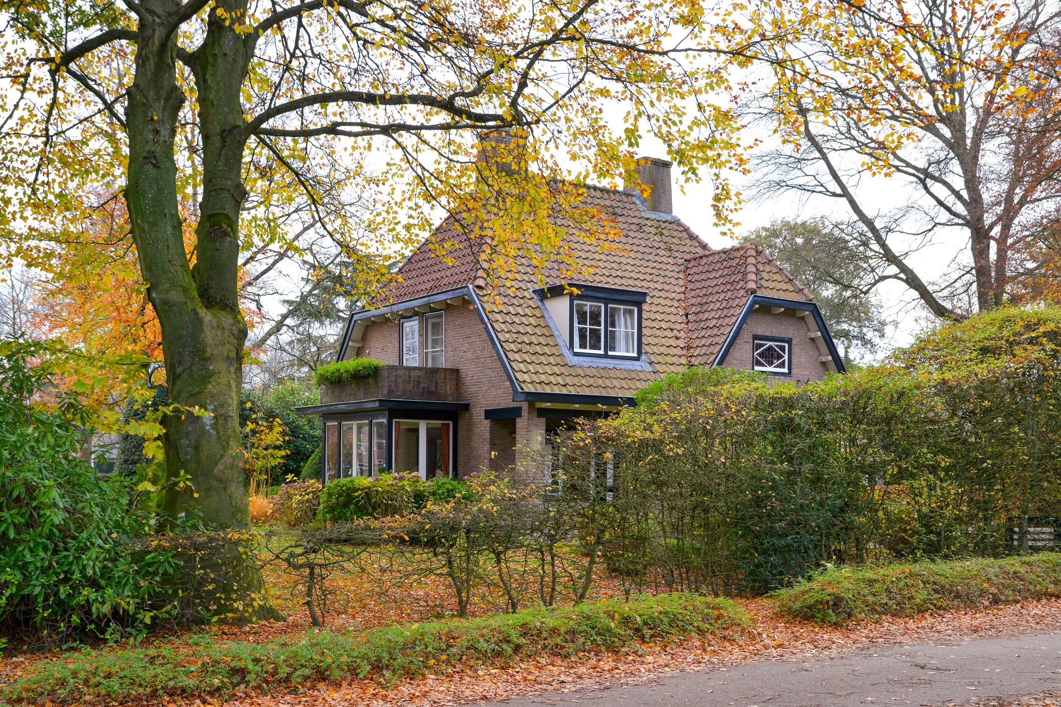 Foto 39 van Driftlaan 1