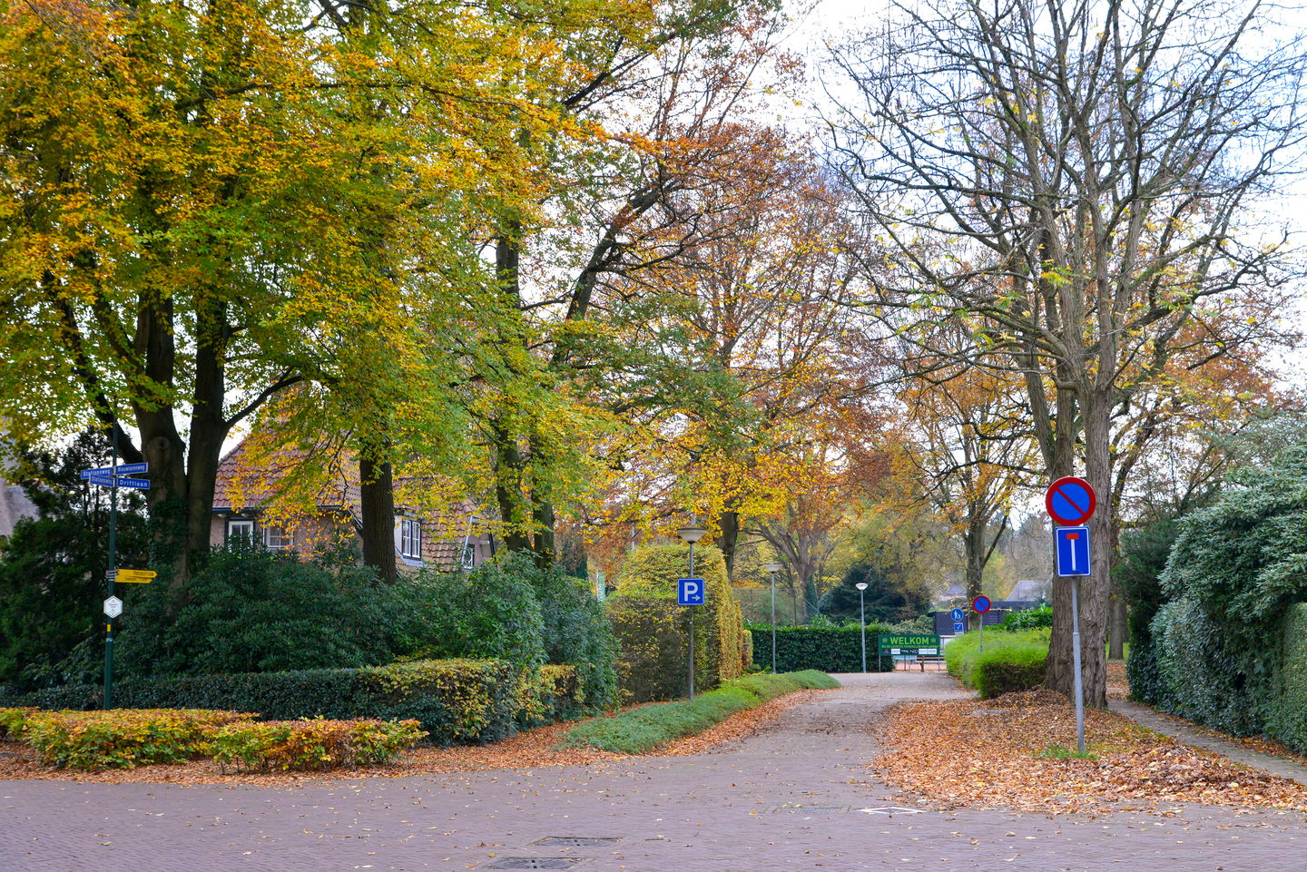 Foto 40 van Driftlaan 1