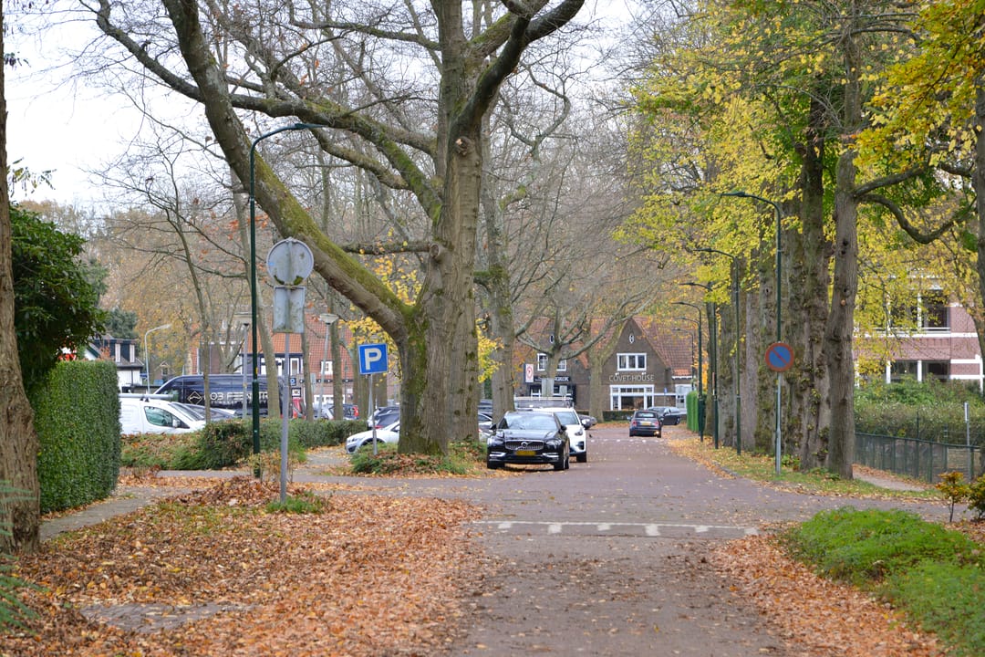 Foto 41 van Driftlaan 1