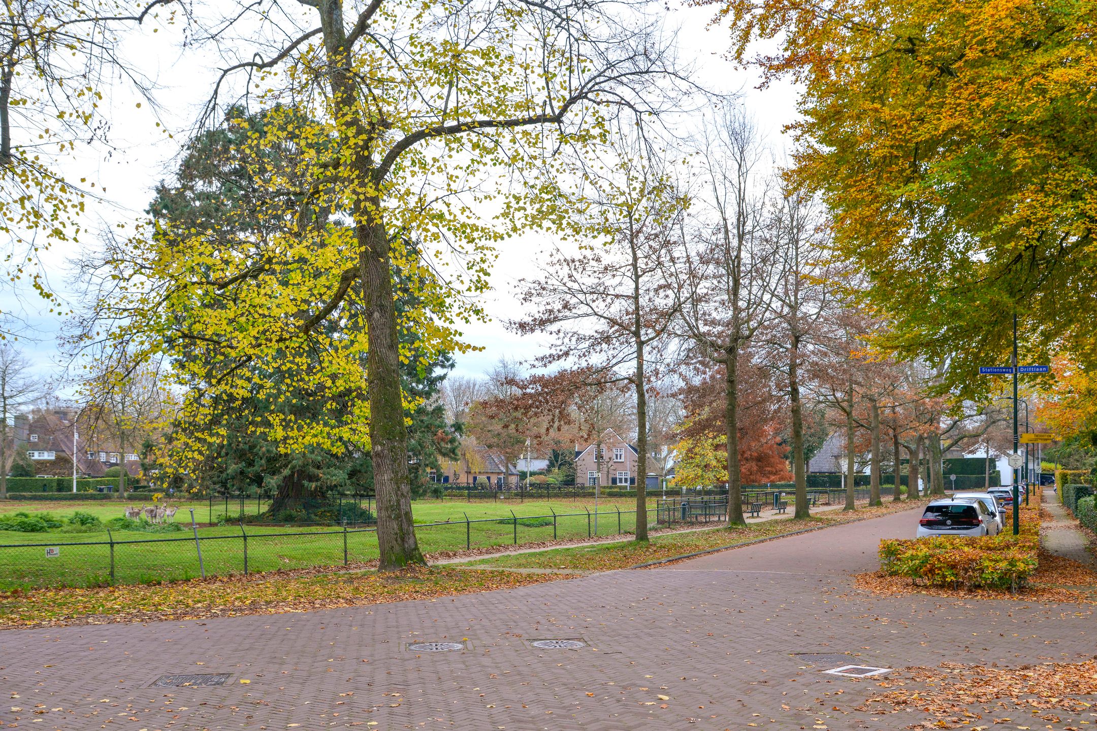 Foto 42 van Driftlaan 1