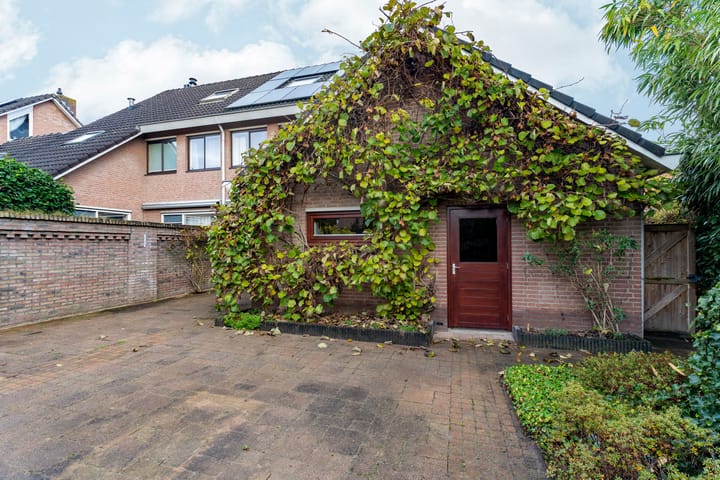 Foto 33 van Roemer Visscherstraat 1