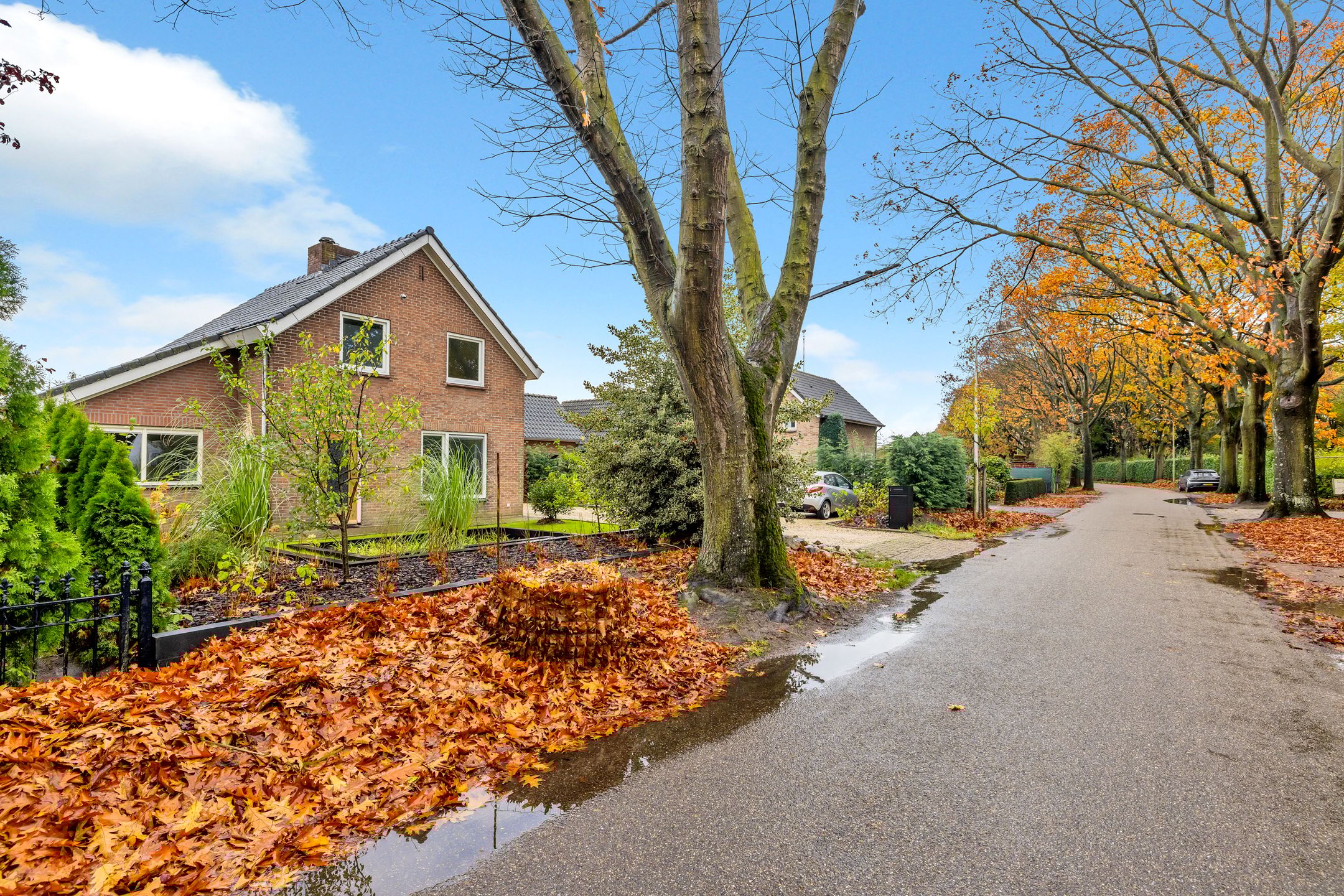 Foto 84 van Amelsestraat 25