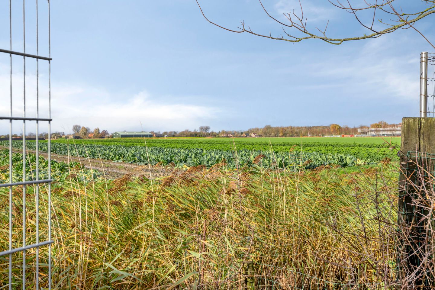 Foto 35 van Nieuwe Vlissingseweg 626
