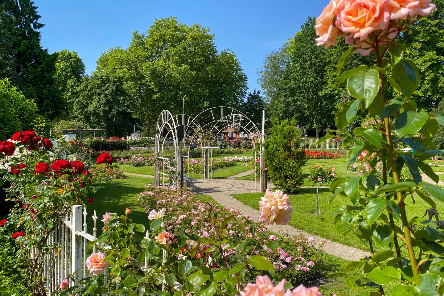 Foto 34 van Oudwijk 23-CB