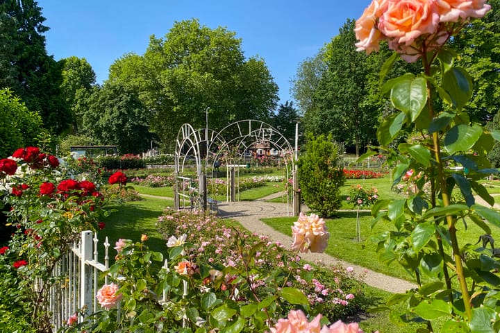 Foto 34 van Oudwijk 23-CB