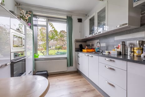 Jan Springerhof 37 tertiary image