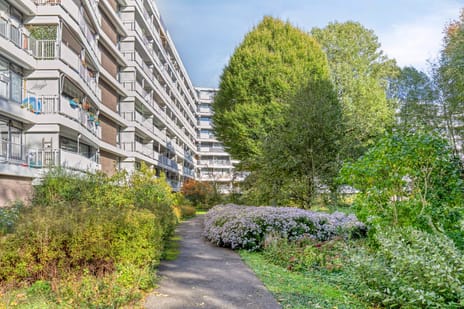 Curieplaats 59 secondary image