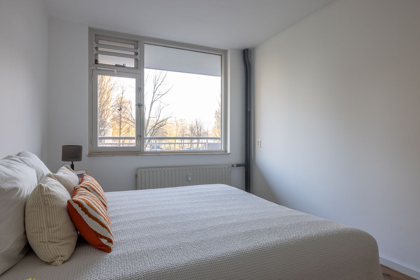 Foto 20 van Kelloggplaats 100