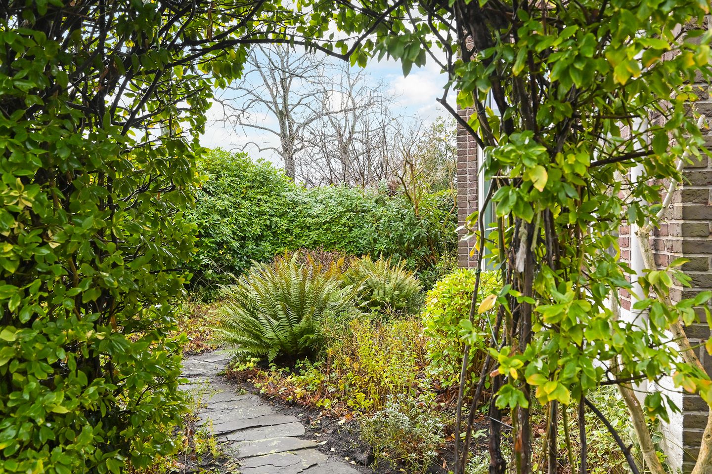 Photo 5 of Parkweg 207