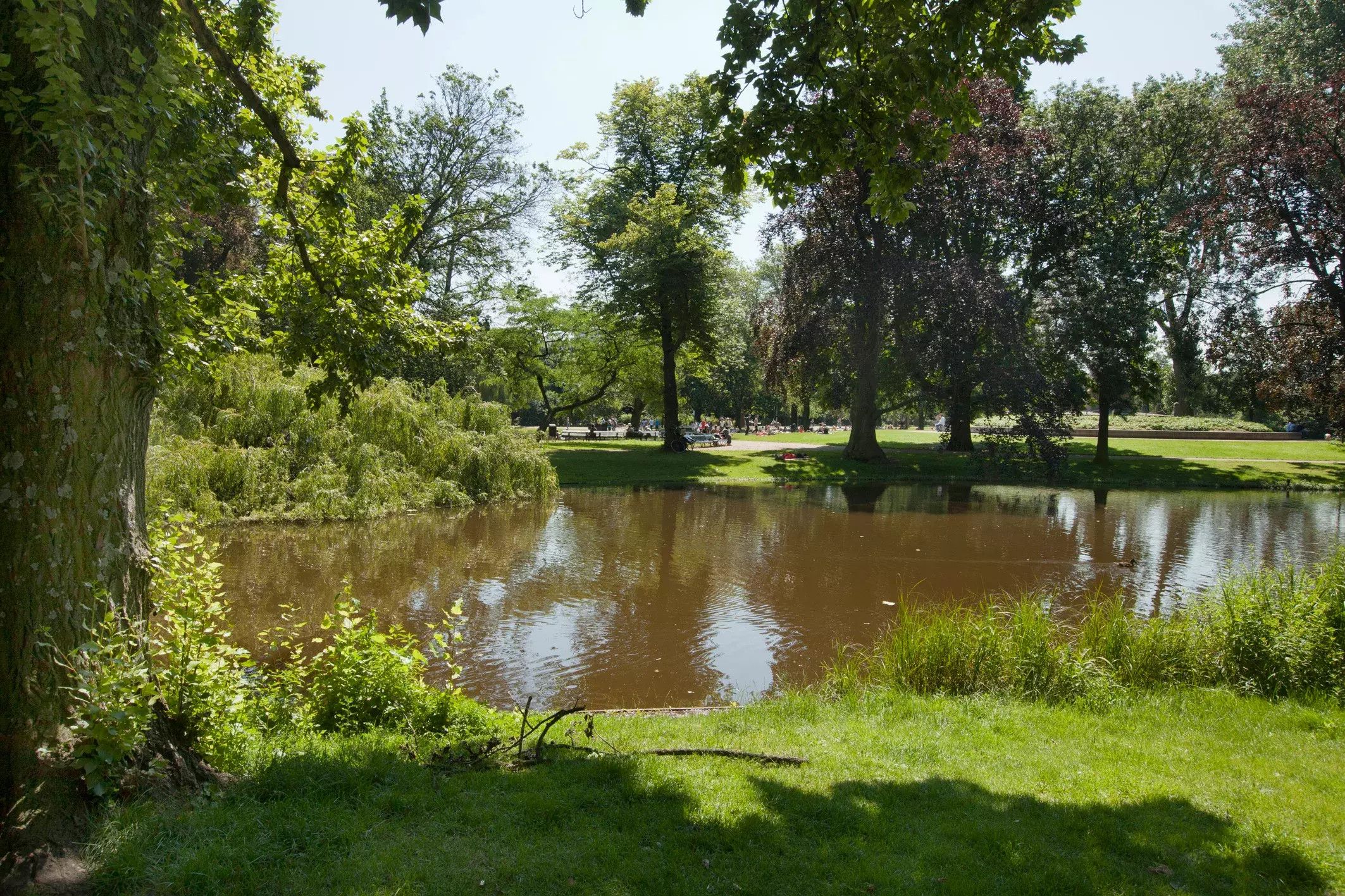 Foto 39 van Eerste Helmersstraat 147-H