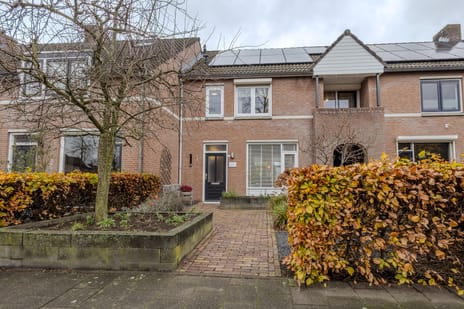 undefined main image