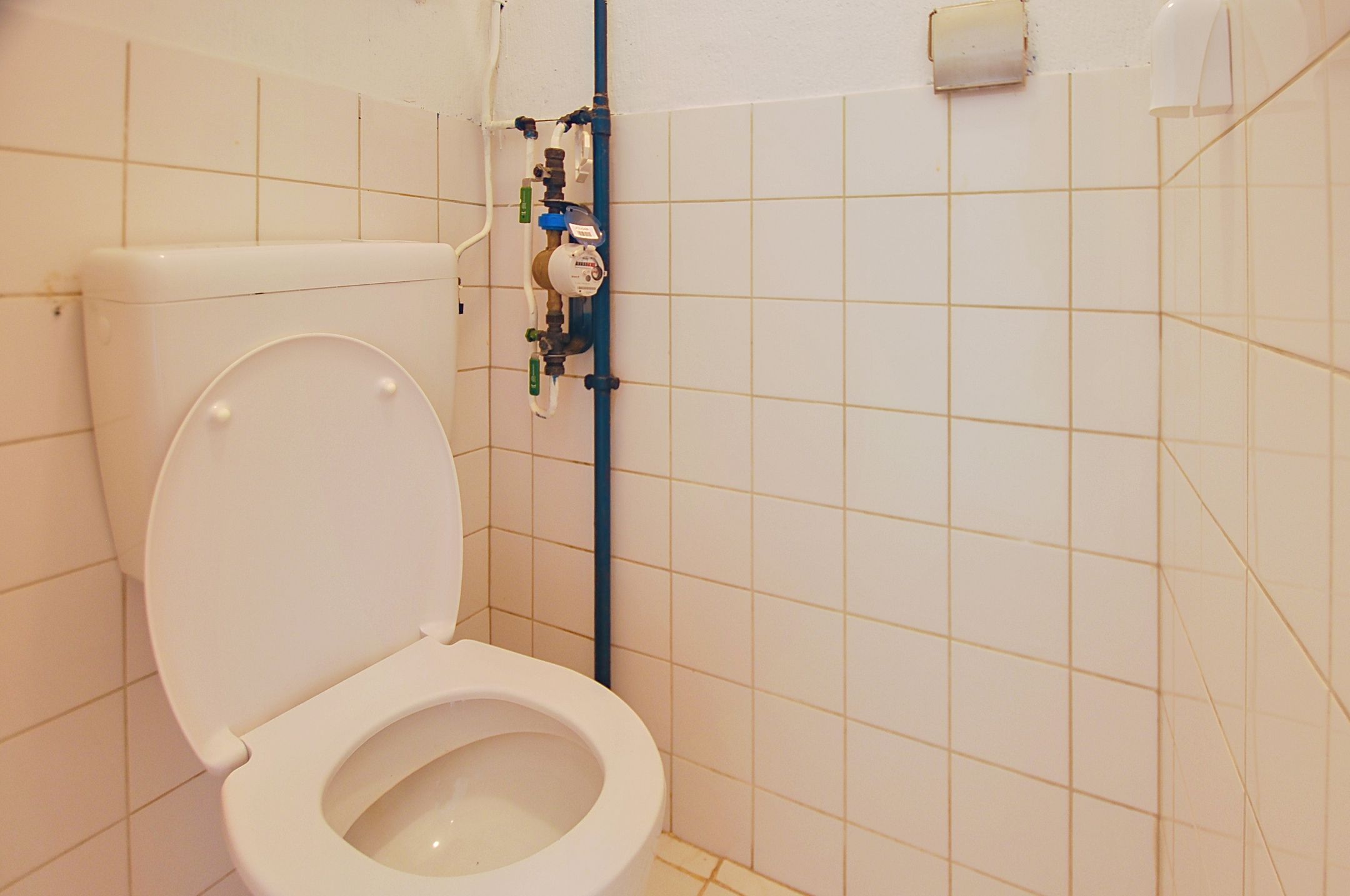 Foto 12 van Ruigoord 112